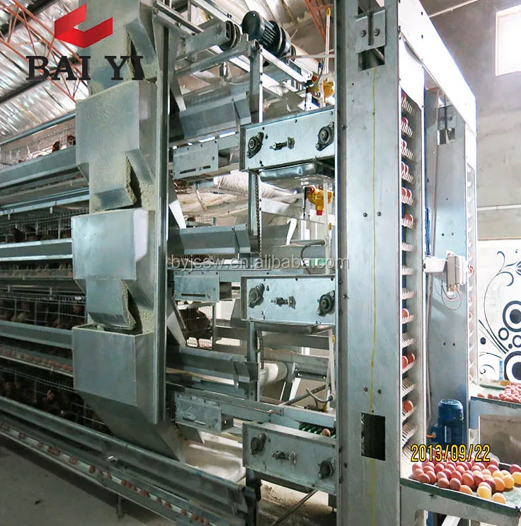 Automatic Chicken Breeding Farm Machine and Business Plan