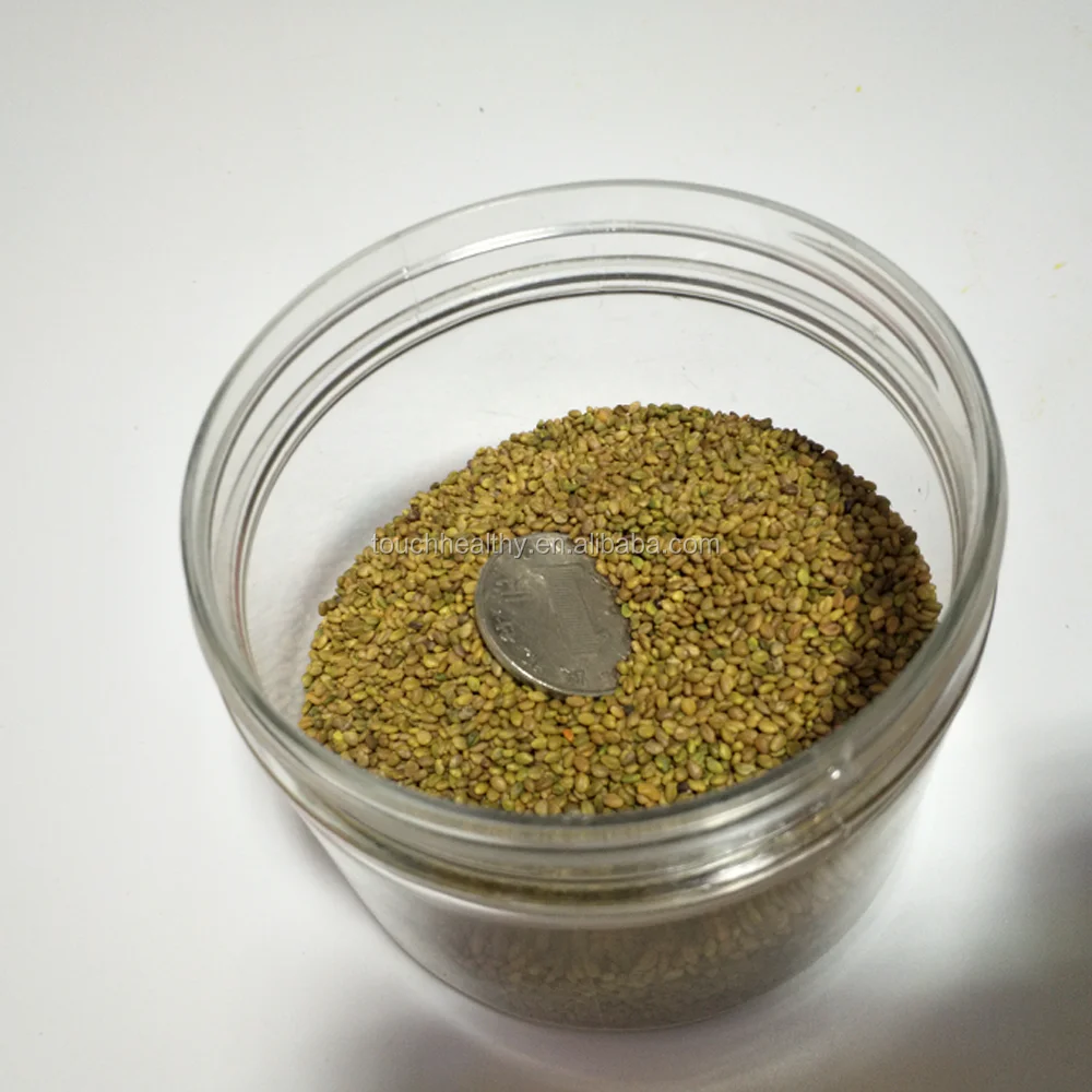 2021 Melilotus suaveolens seeds/Melilotus albus seeds/forage grass seeds