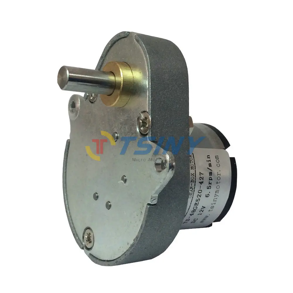 Strong Box Dc Gear Boxes Motor 12vdc Boxing Gear Motor 6