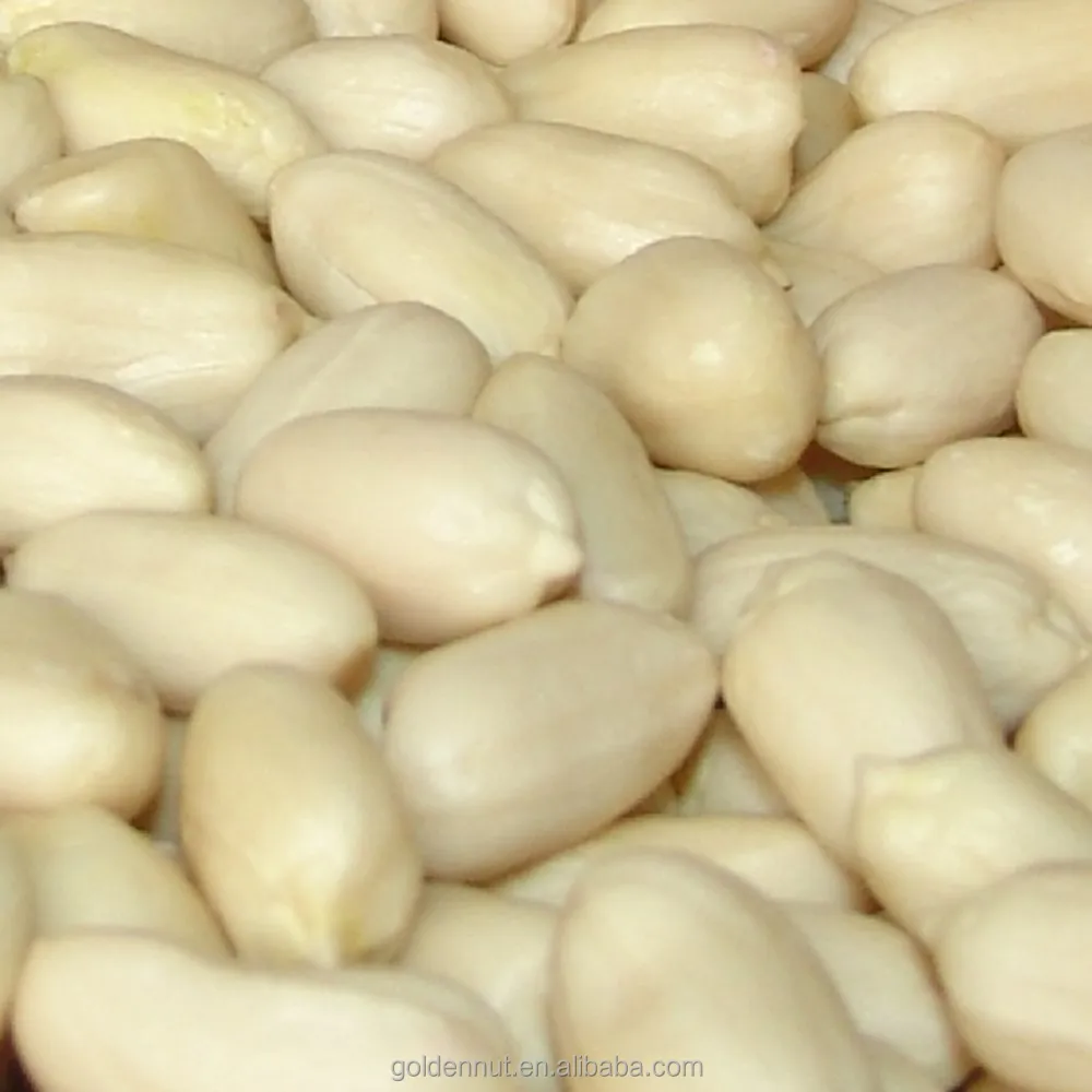 Blanched Peanut kernel