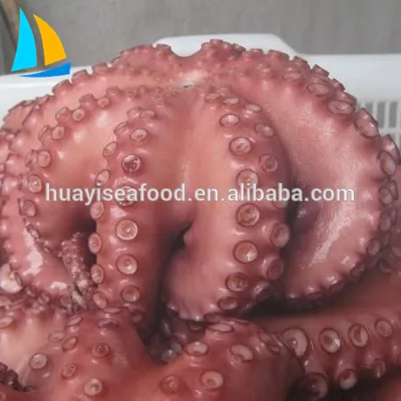Big Size Frozen Flower Cooked Octopus