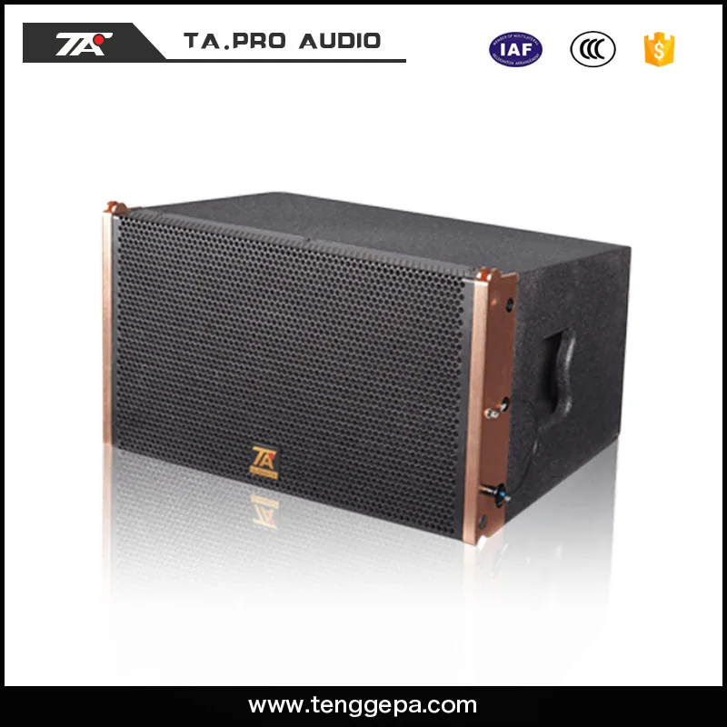 Active 10 inch Tengge Box Speaker Line Array System