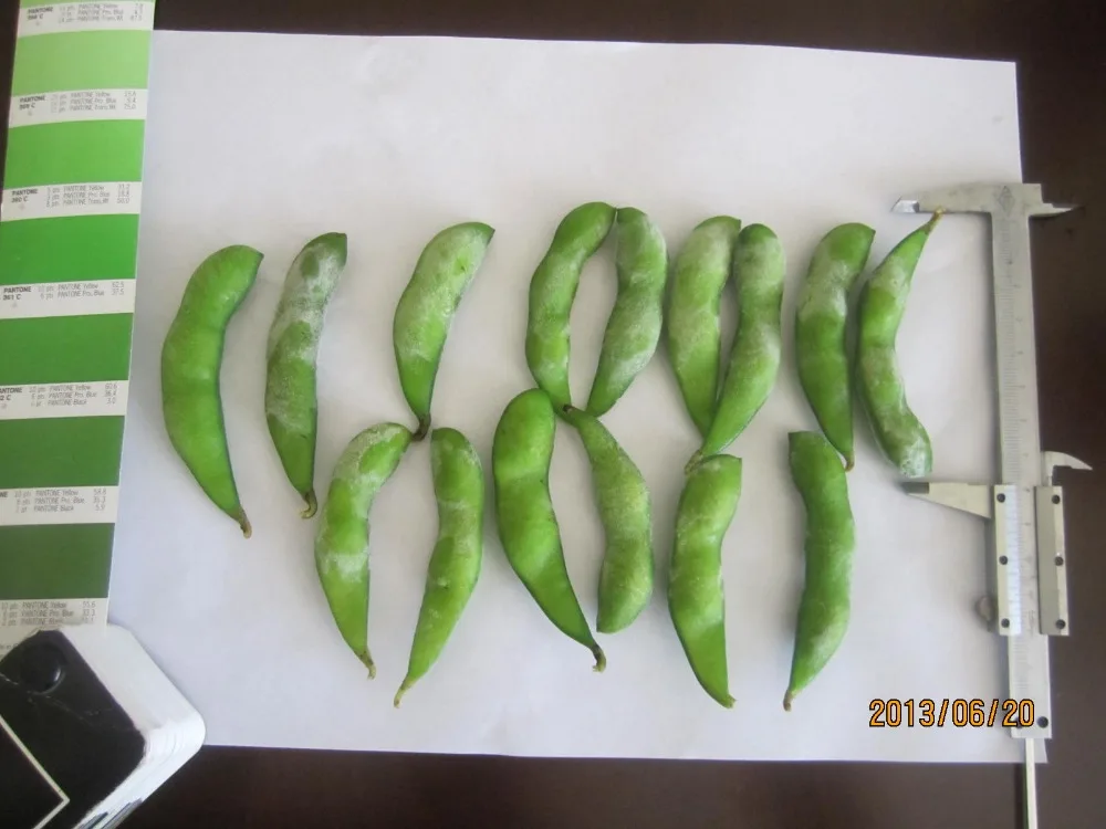 2017 Урожай Сои Замороженных Природа Зеленый Здорового Edamame