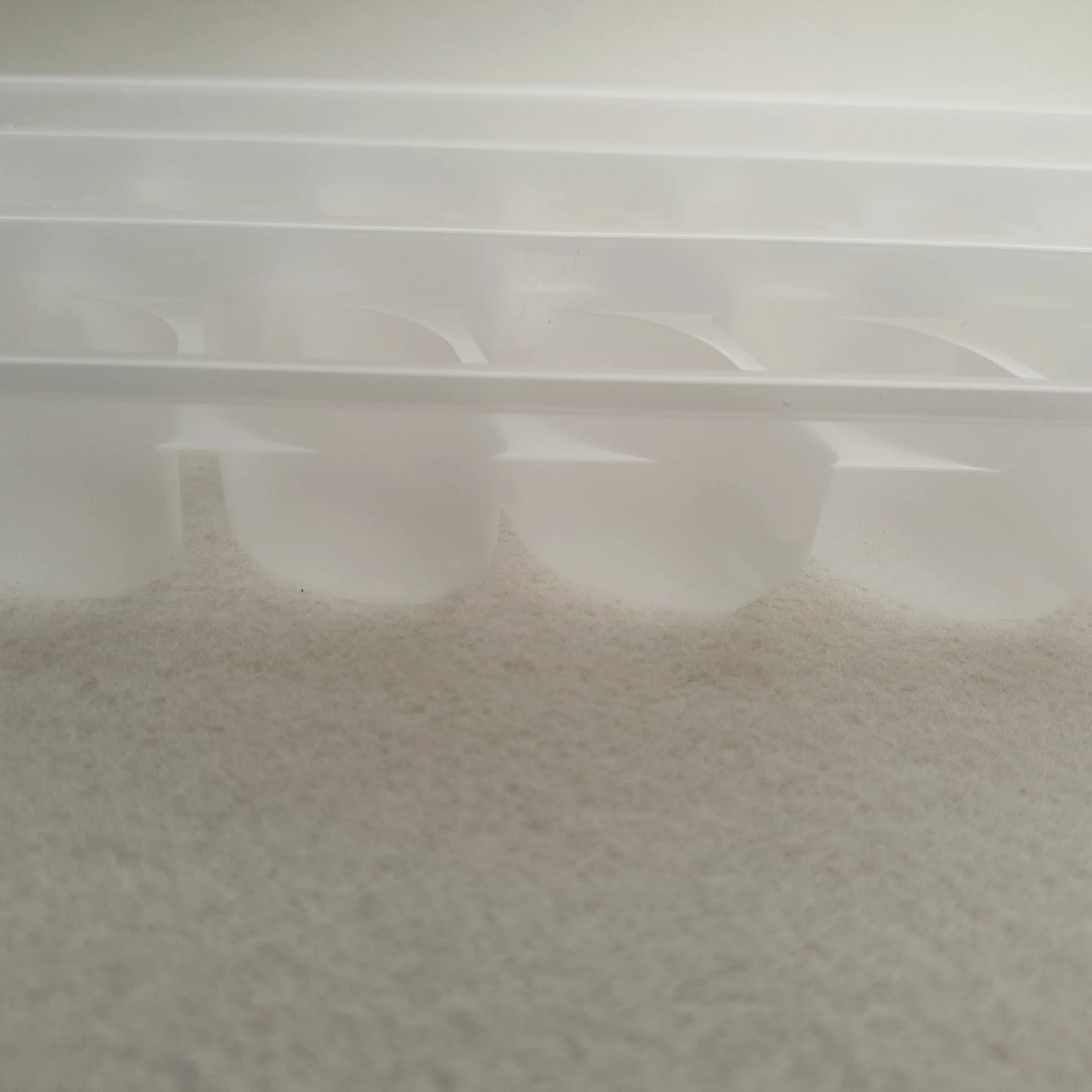 Blister Plastic Package Wonton Tray Container