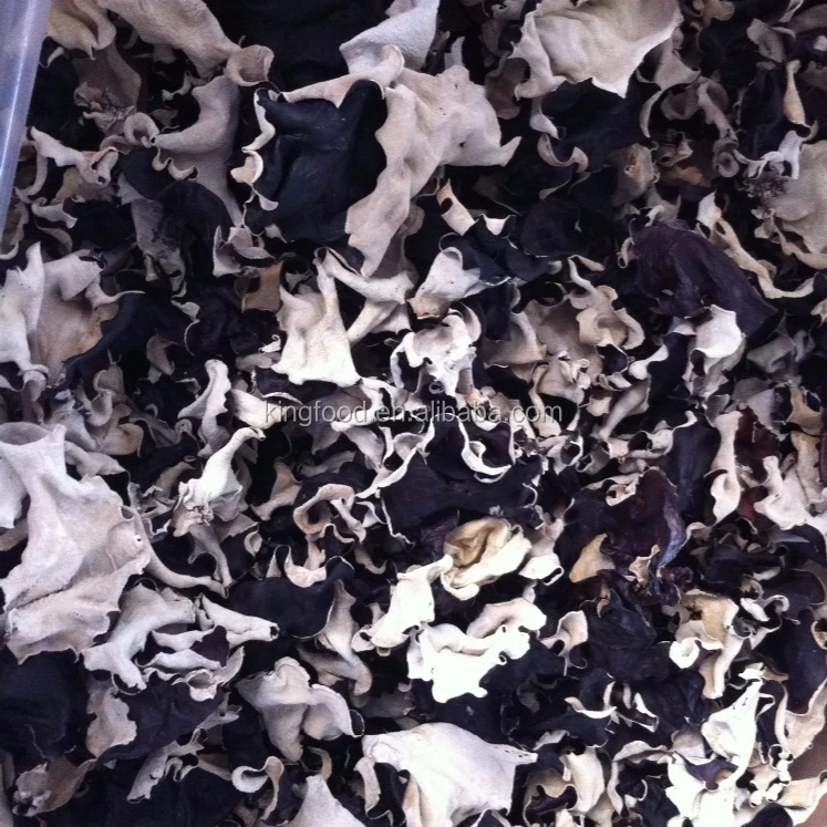 High Quality Black and White Fungus Strip Available