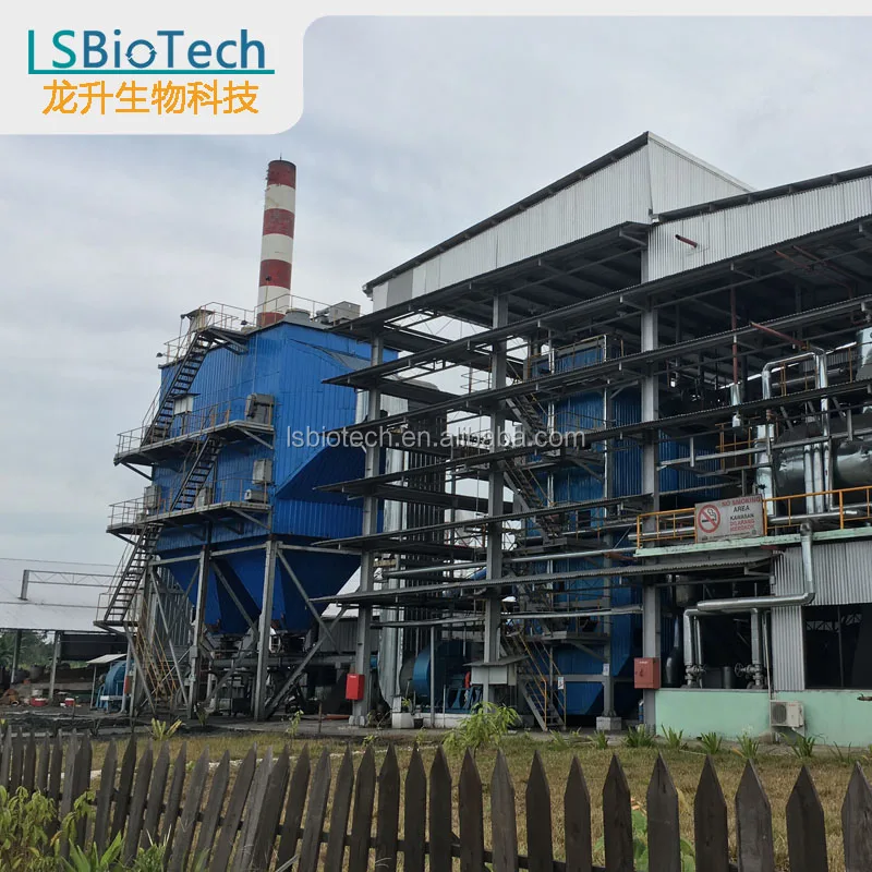 4.5MW electricity Packaged Biomass Fuel Steam Boiler for Power Plant/Station Renewable Energy