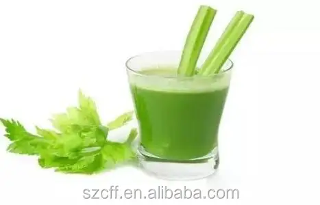Vegetable Flavoring Natural Fresh Celery Flavor For Biscuit Flavoring