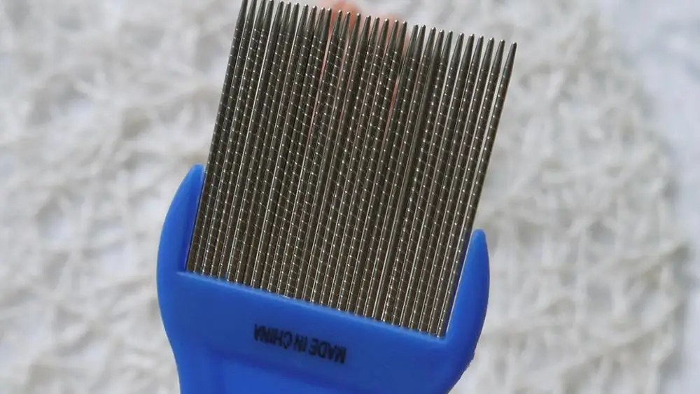 Anti OEM Plastic SS Advertising photo Image Picture meaning of Nit Lice Louse Flea Tick V Spirraled head combs remover for kids