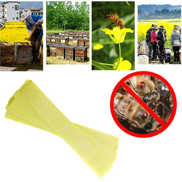 
Professional Against The Bee Mite Strip Bee Mite Killer Beekeeping equipment Medicines Acaricide 