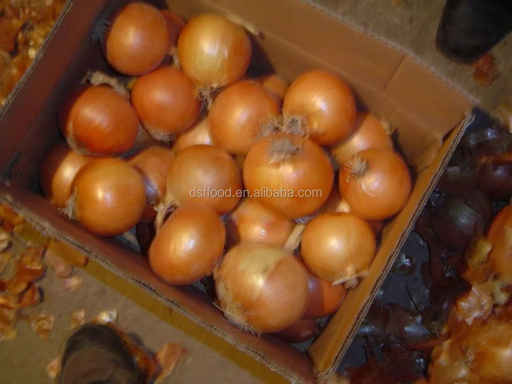 Chinese cheap good fresh onion for sale