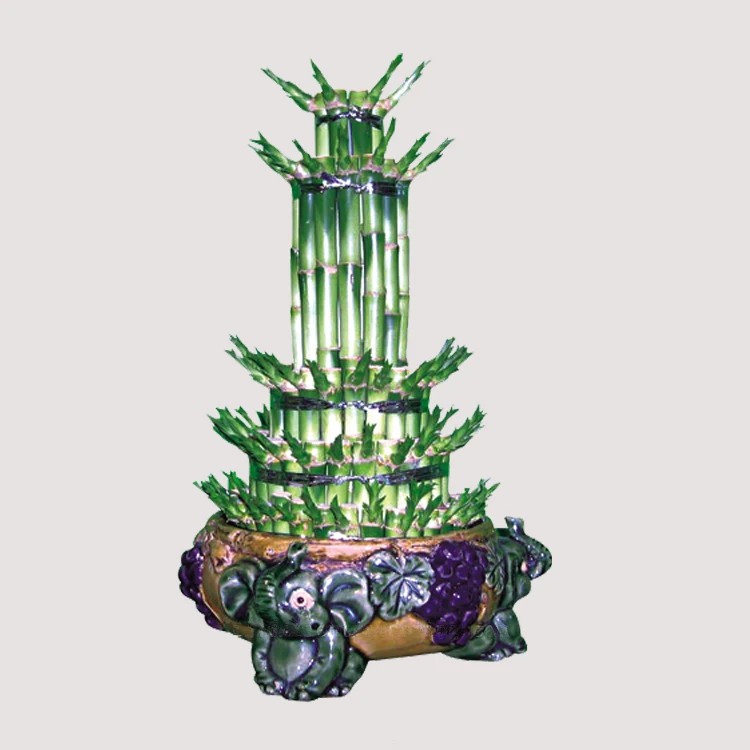 
lucky bamboo tower aquatic plants dracaena sanderiana/bonsai planter natural indoor dracaena sanderiana 