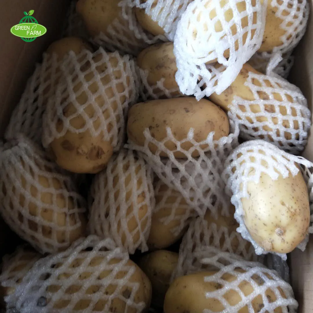 100-250g carton/net bag fresh potatoes looking for global potato buyers