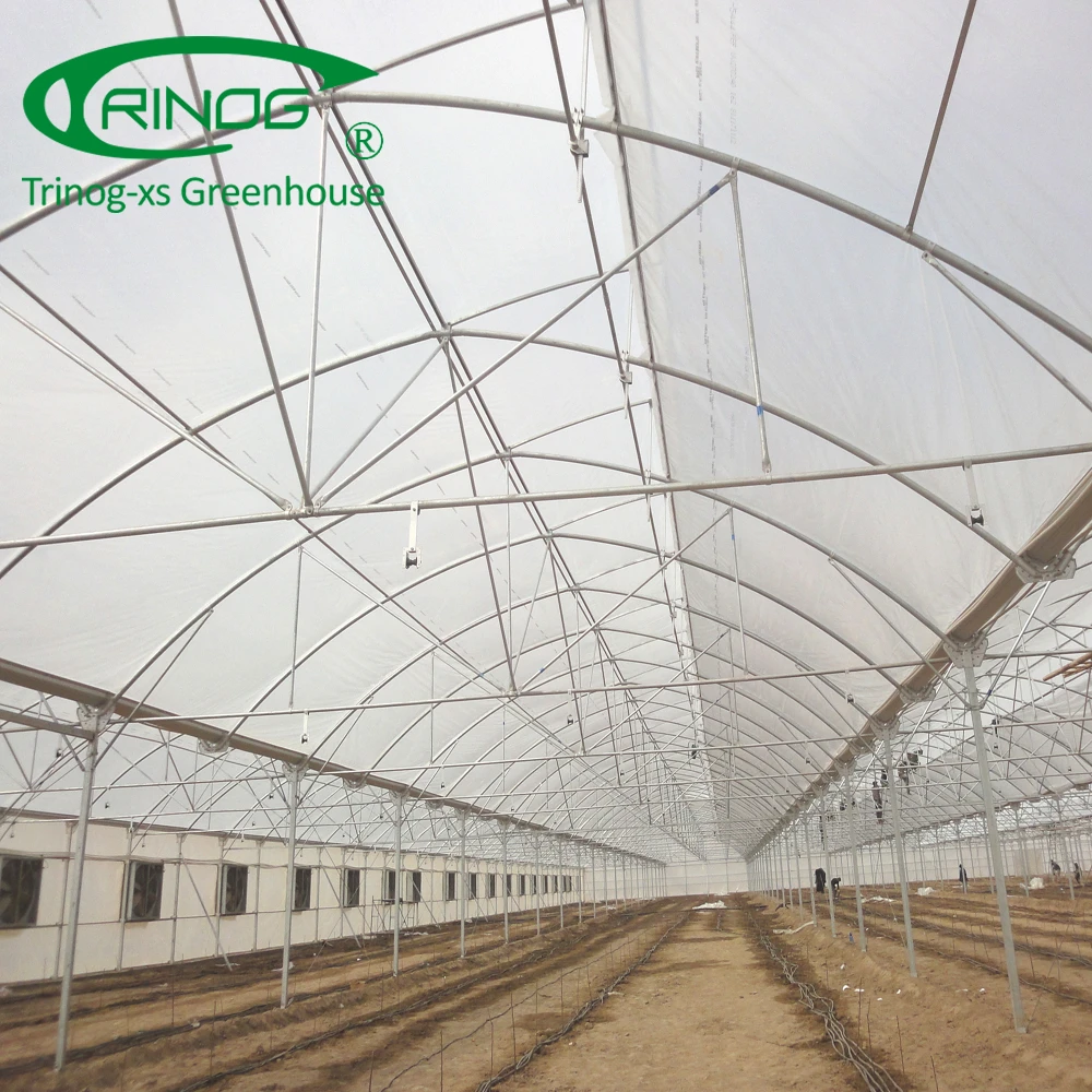 Low cost plastic greenhouse garden used for vegetable