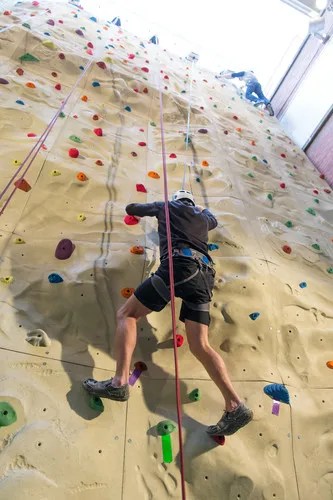 Gecko king L size rock climbing holds for community