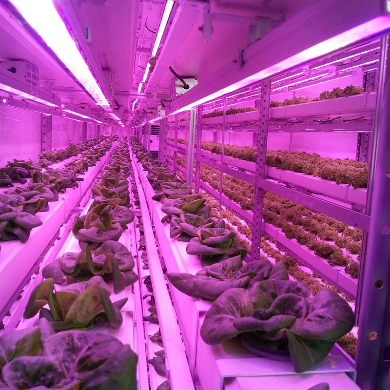 Environment-Friendly Controllable Greenhouse Hydroponics