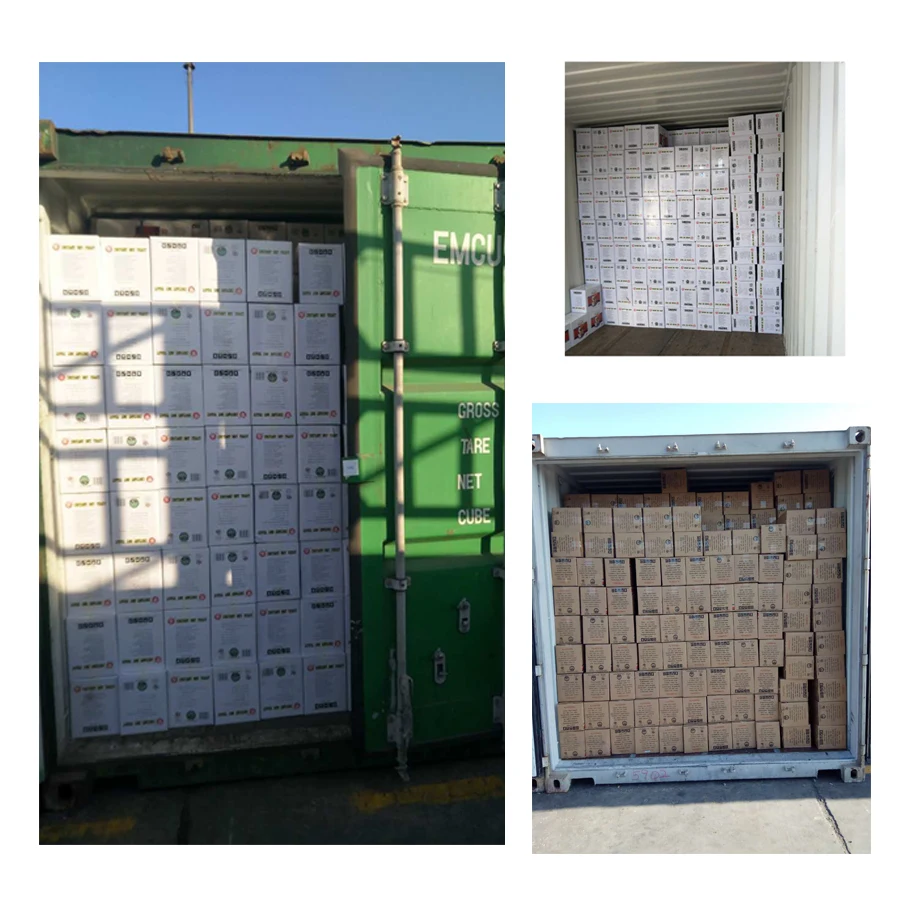 
Hot sale Fast Fermented active Instant baking dry yeast in Turkey 