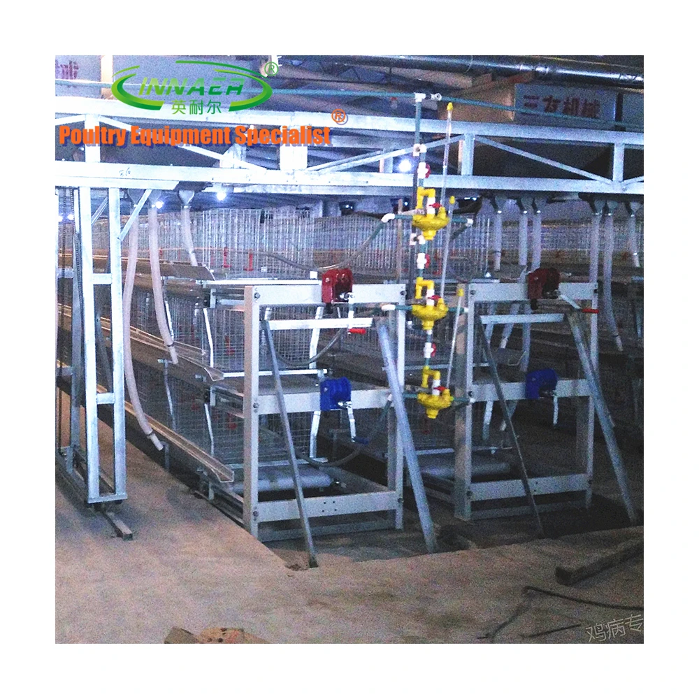 Automatic feeding pan for broilers