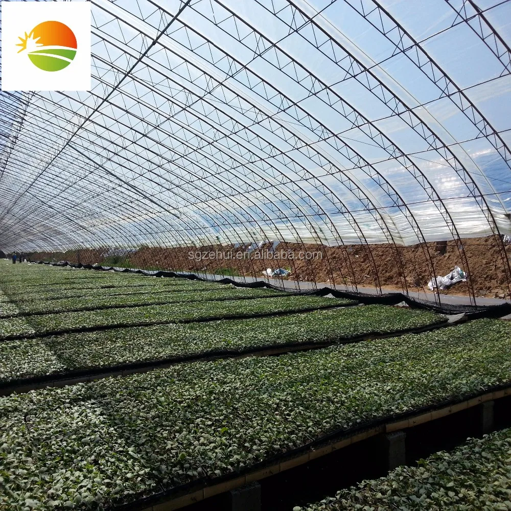 
hot galvanized steel arch pipes greenhouse 