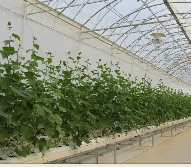 Retractable Roof Greenhouse For Agriculture