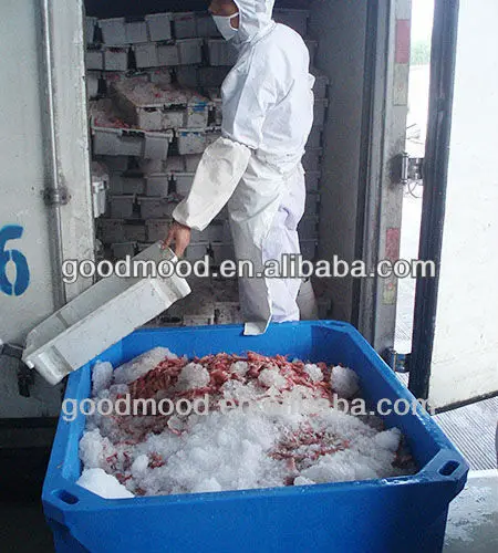 Shrimp insulated ice box fish