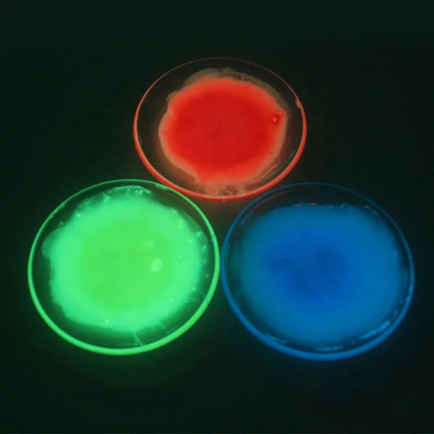 9 colors kids diy watercolor paint non-toxic glow powder luminous powder fluorescent powder for making glow in the dark paint