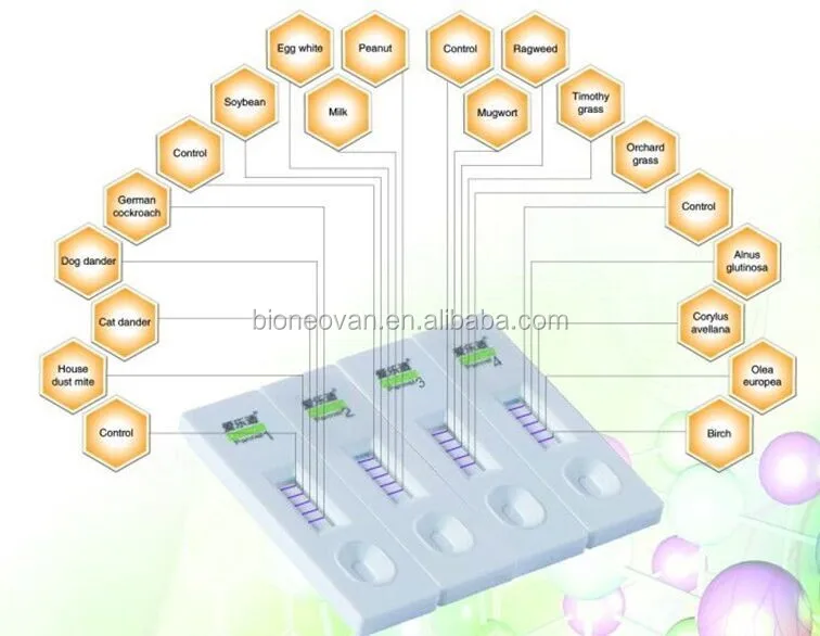 Blood Analysis System Type Allergic rapid test kit