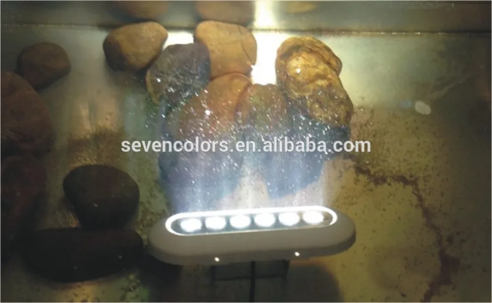 DC12V IP68 12w 316 stainless steel & PC marine underwater led light (SC-G106A)