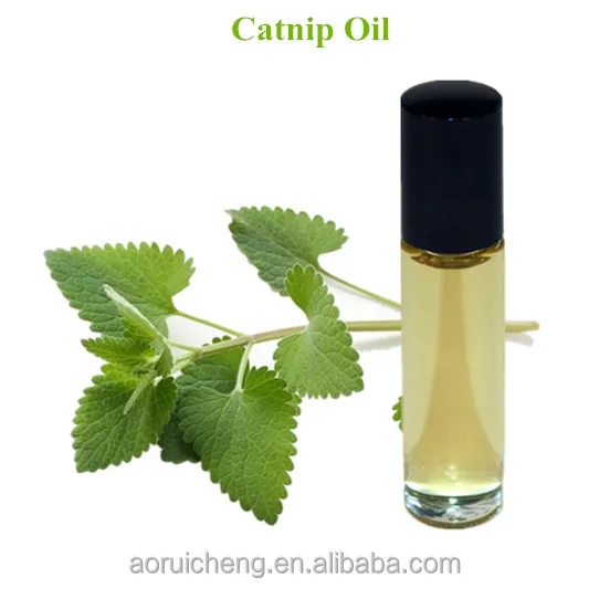 catmint oil, nepeta cataria,catnip oil