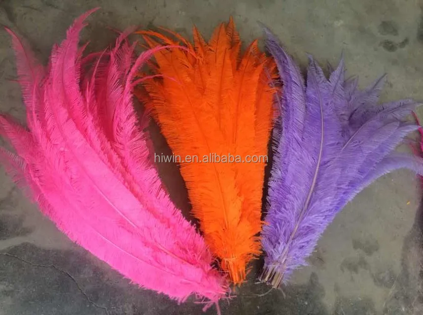 Trimmed Ostrich Feather