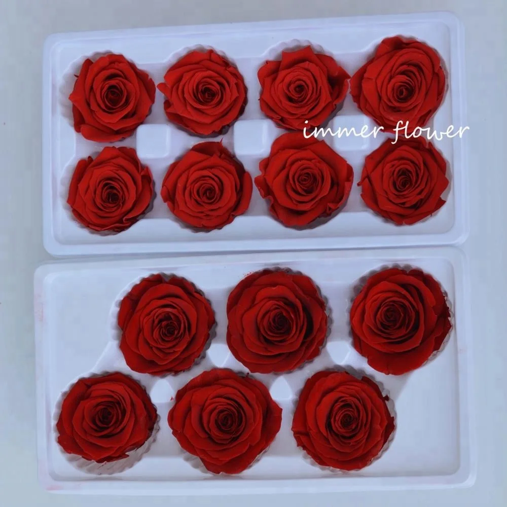 Luxury forever real touch preserved flower preserved roses holland