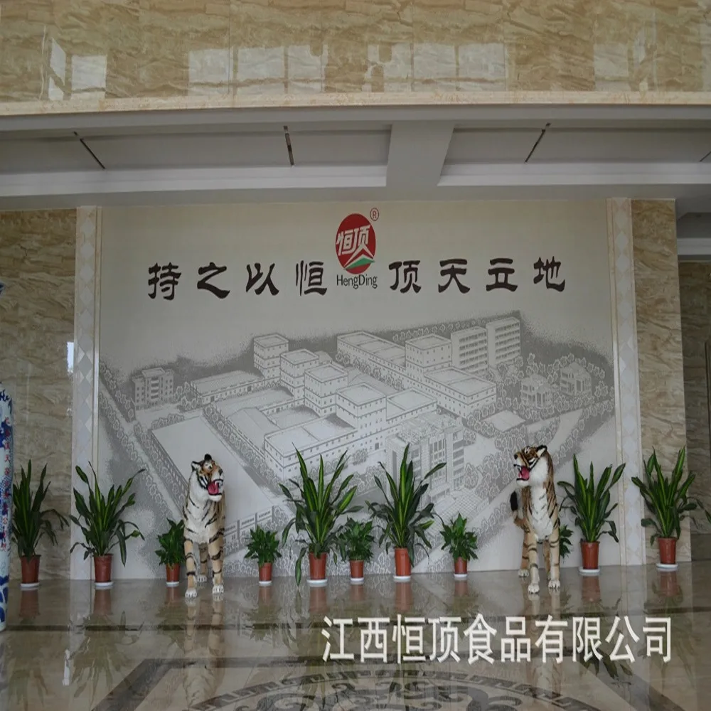 
Protein Type and Powder Dosage Form wholesale Rice Protein Powder concentrate 80% 