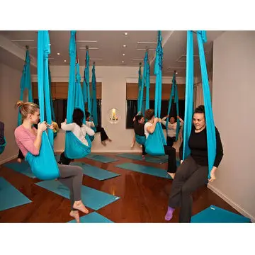 Alwaysfit High Quality Custom Logo Printing Antigravity Aerial Yoga Swing