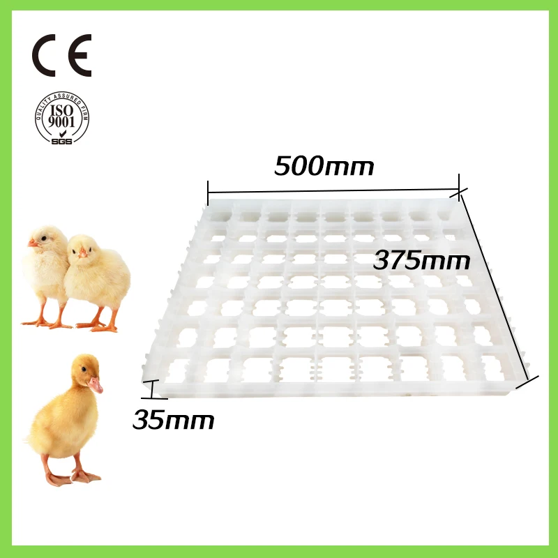 Factory supply plastic egg tray for incubator