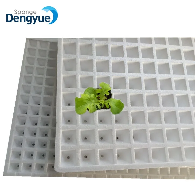Growing Hydroponic Leafy Greens nontoxic waterproof planting Polystyrene Seedling Trays