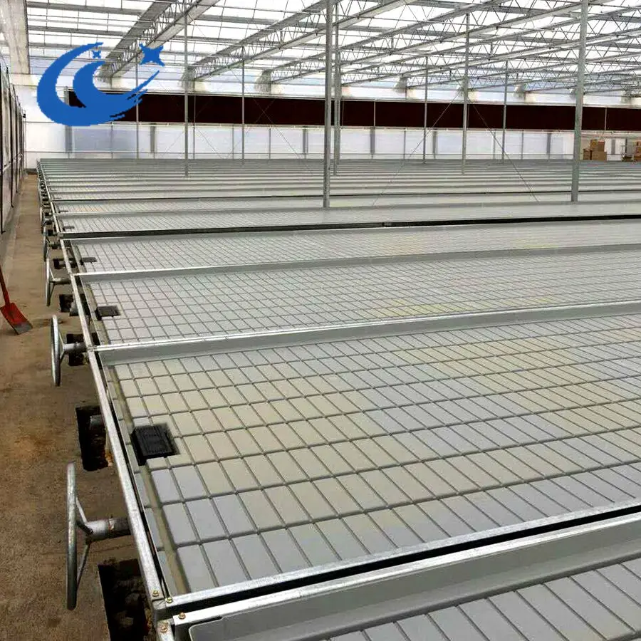 Water tray ebb and flood hydroponic trays Flood and drain table