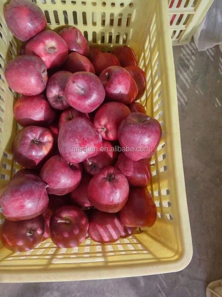 Красное вкусное яблоко хуани