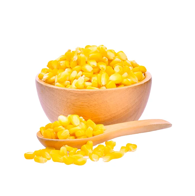 2018best price hot selling iqf frozen corn on cob