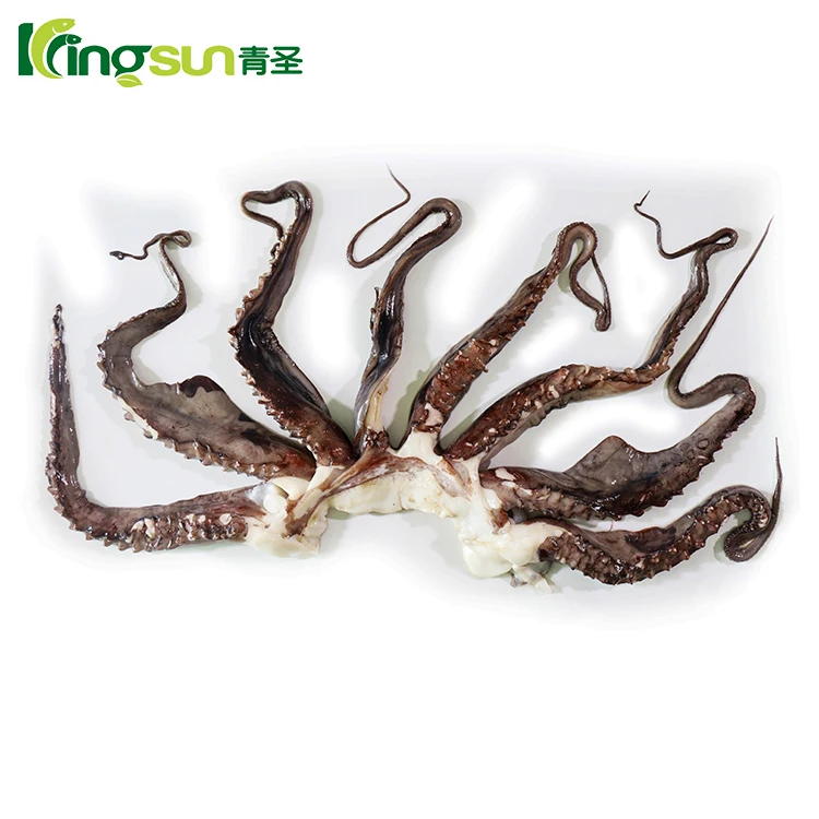 Frozen Giant Squid Tentacle Beak Off