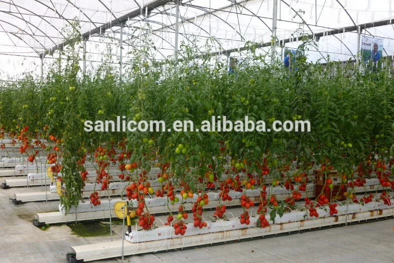 
Tomato Hook with PP Twine 