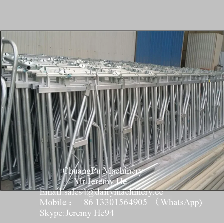 Hot-galvanized Steel Headlock for Cow/Goat /Sheep Dairy Farm