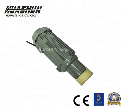 
HUASHUN Non-standard Customized Motor 2 