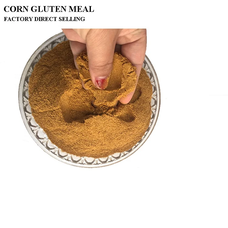 
Poultry Feeding Corn Gluten Meal 60% Protein Probiotics Bulk 
