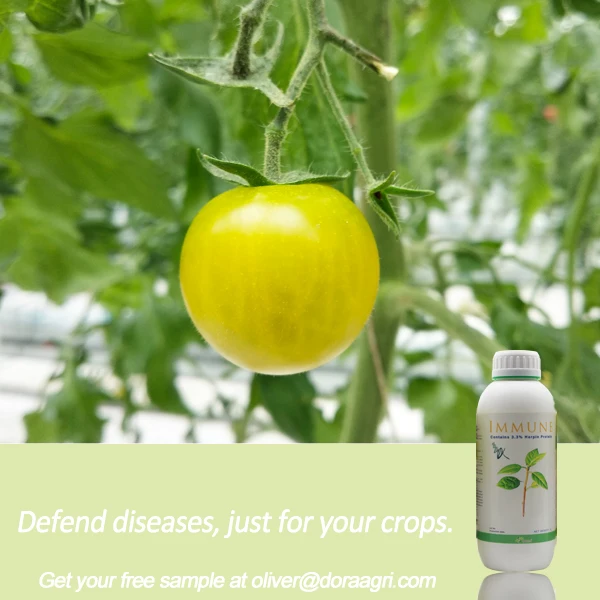 Лечение болезней на урожаях-гарпин-био-удобрение