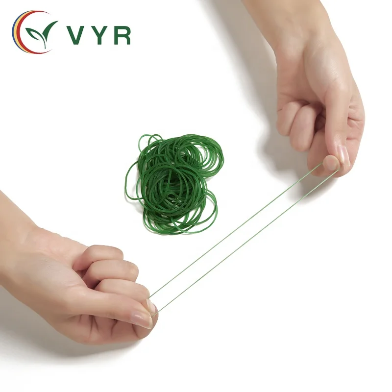 
Natural green high elasticity cheap 2 inch diameter lowest price rubber band 
