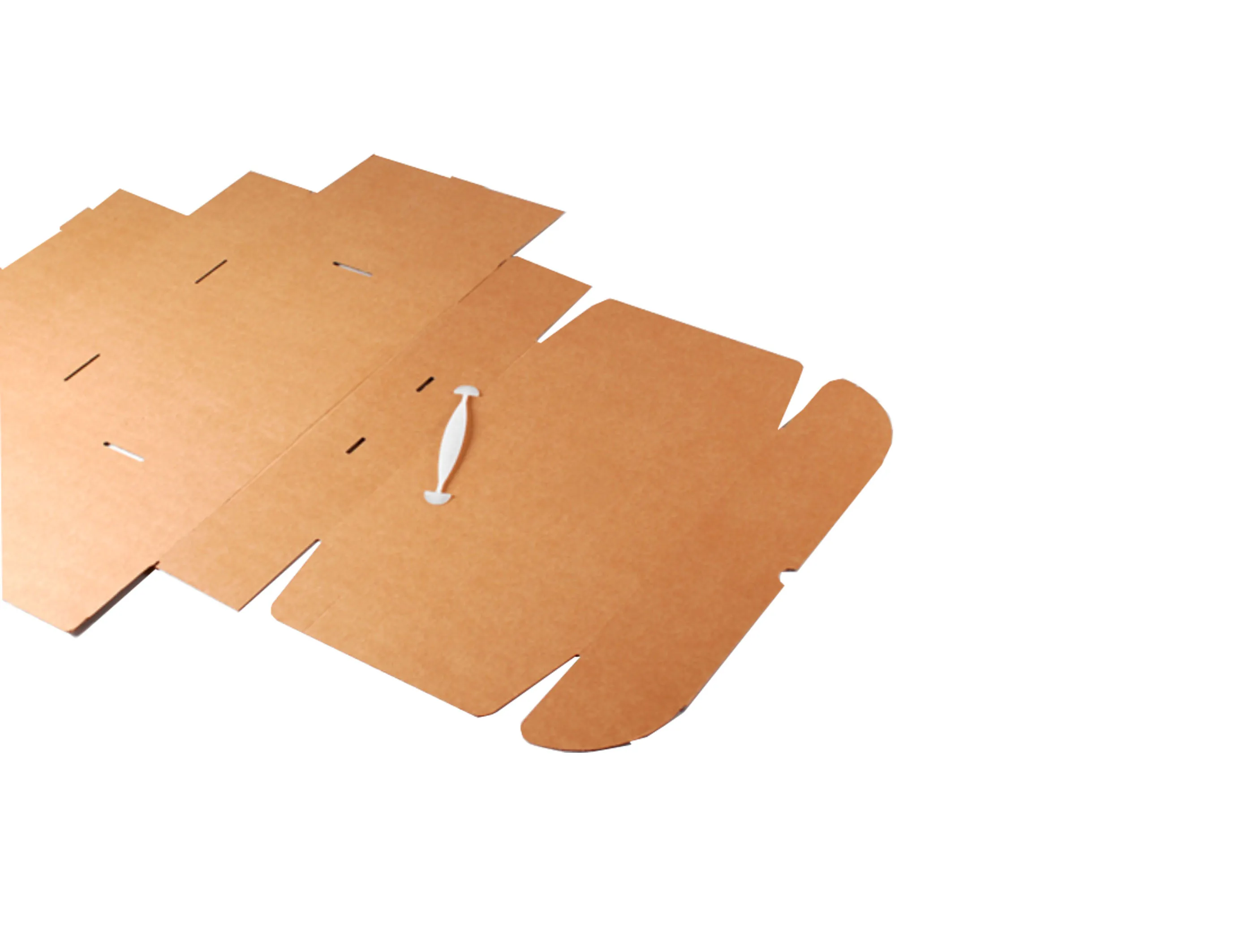 Carrying Case Mailer Box With Handle