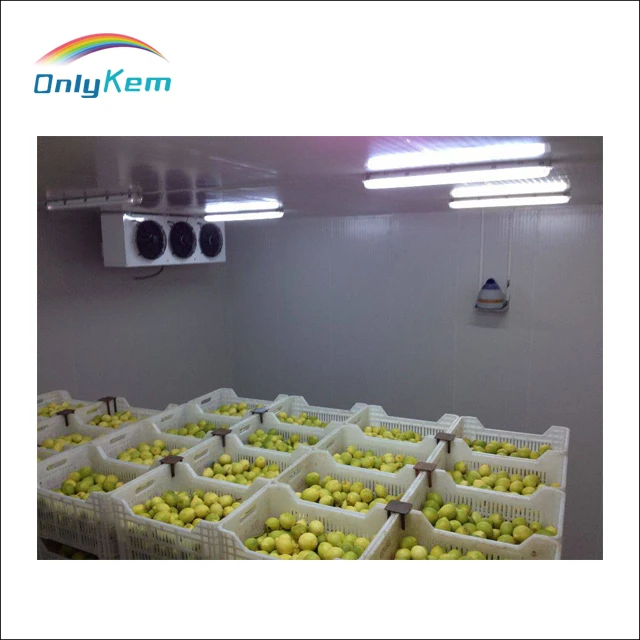 
Energy Saving Cold Room, Walk in Cooler for fruit 