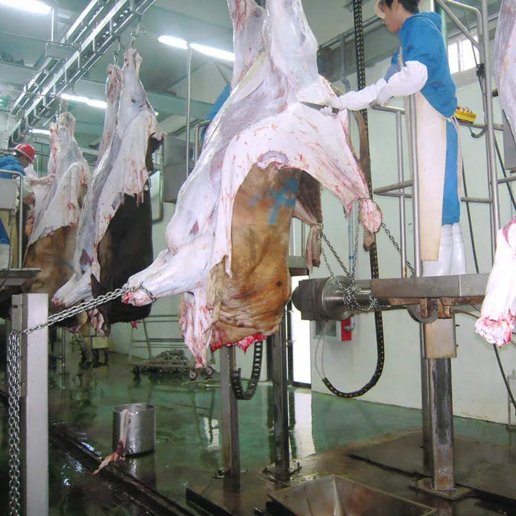  Гидравлическая машина для удаления кожуры из воловьей кожи