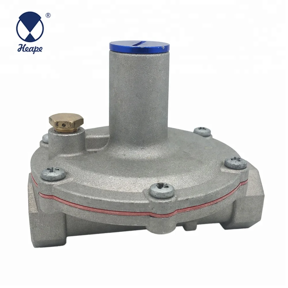 
HEAPE Professional Industrial Gas Regulator 