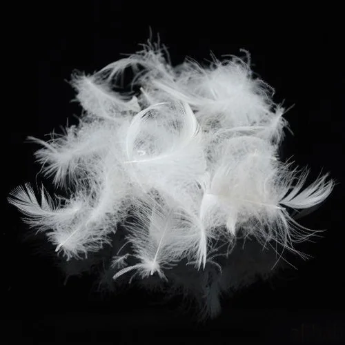 bulk material supply 95/5 duck feather