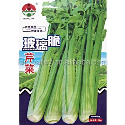 Высококачественные семена сельдерея для выращивания-хрустящий